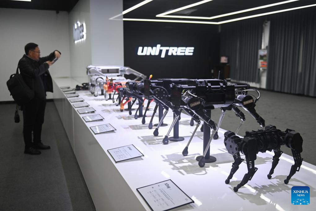 Economic Watch: China expands presence in humanoid robotics amid industry boom