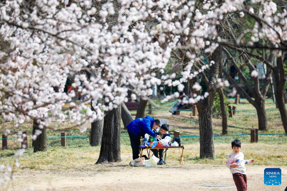 Spring scenery across China