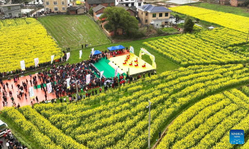 Spring scenery across China