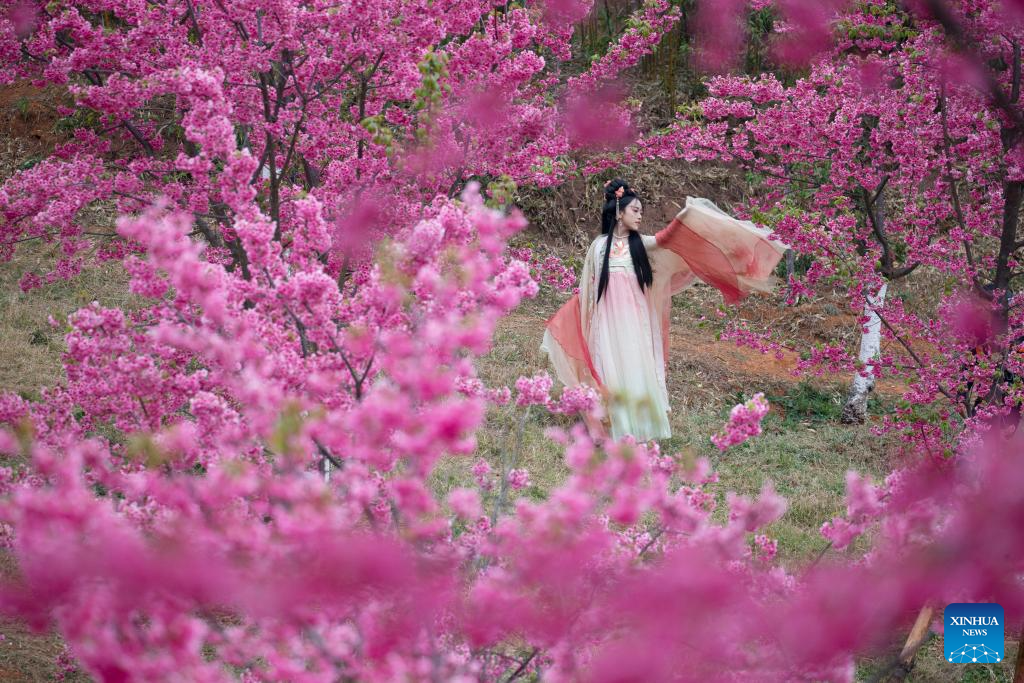 Spring scenery across China