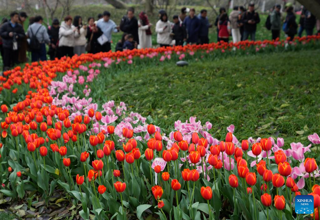 Spring scenery across China