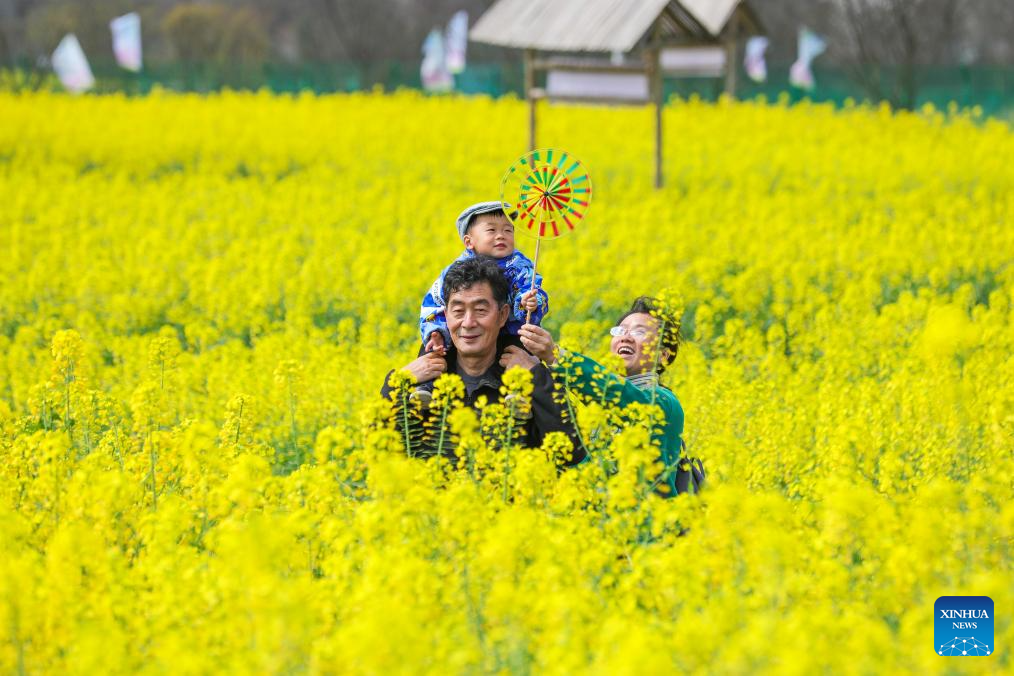 Spring scenery across China
