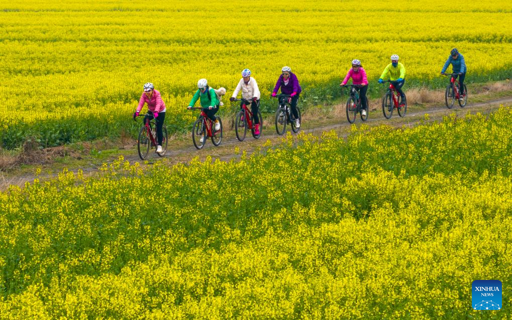 Spring scenery across China