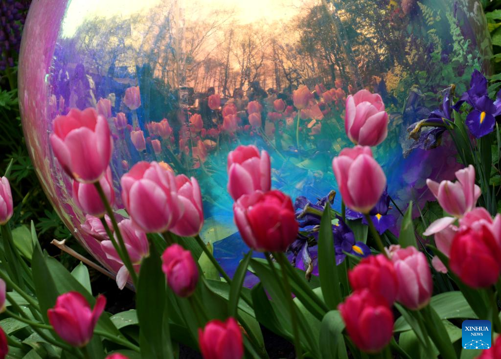 Spring scenery across China