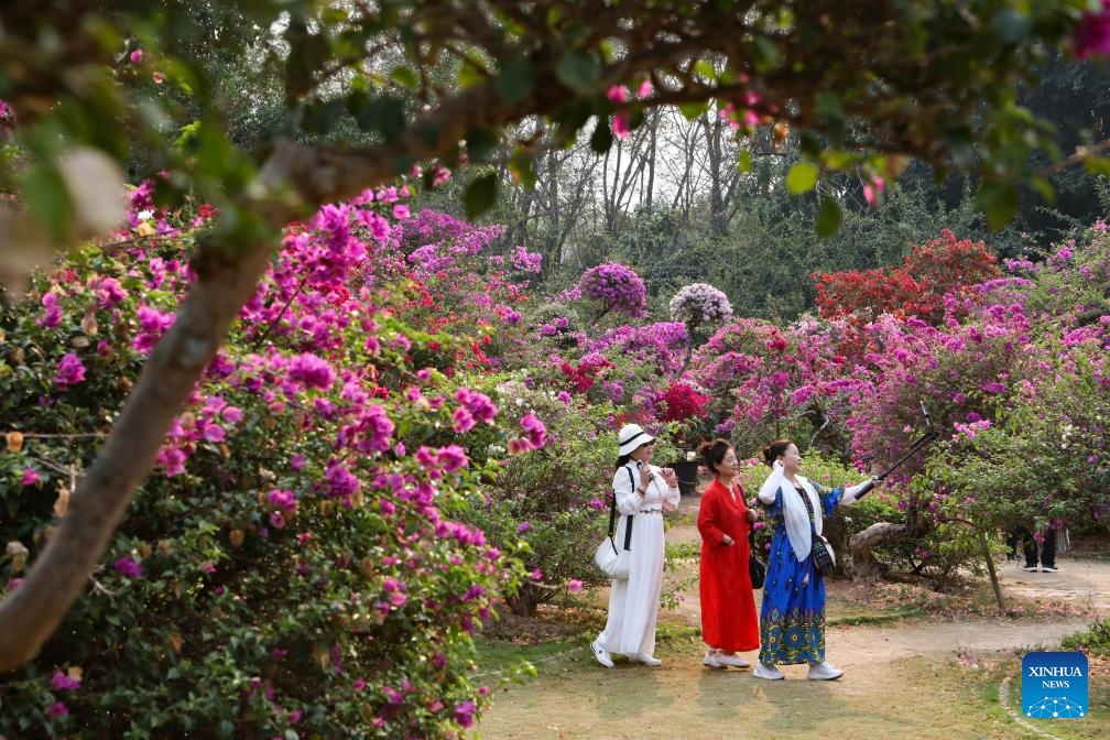 Spring scenery across China