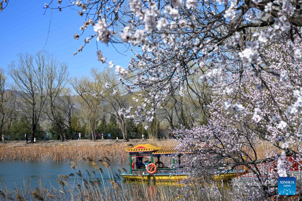 Spring scenery across China