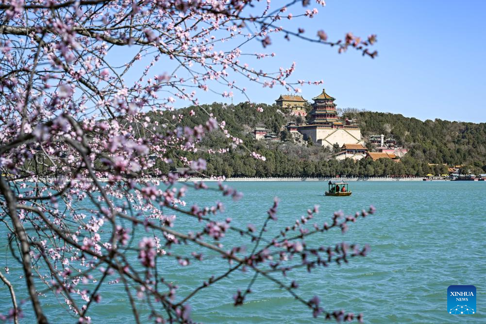 Spring scenery across China
