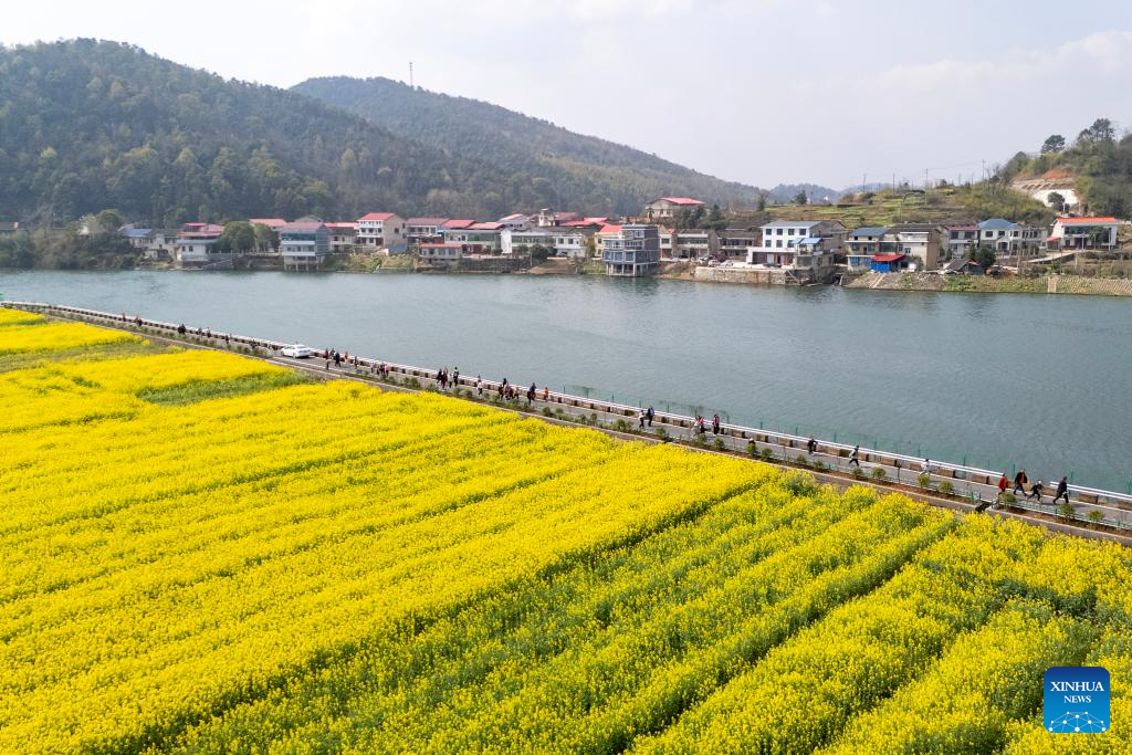 Spring scenery across China