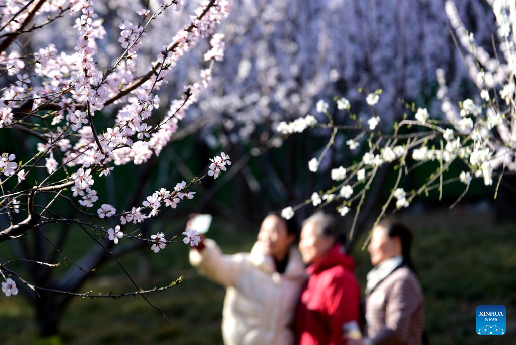 Spring scenery across China