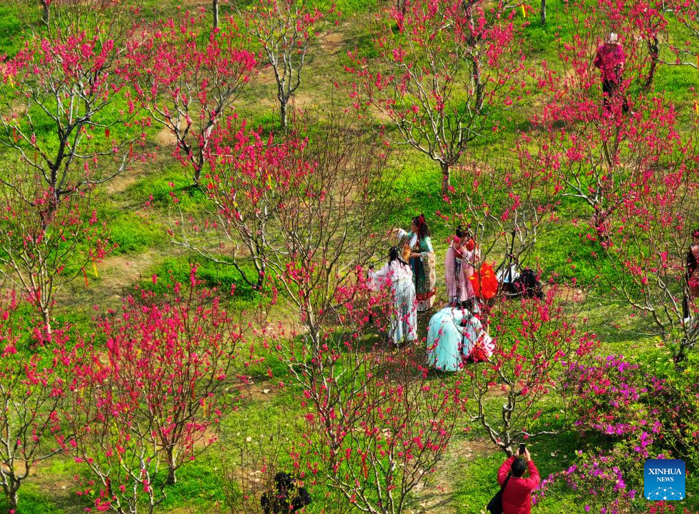 Spring scenery across China