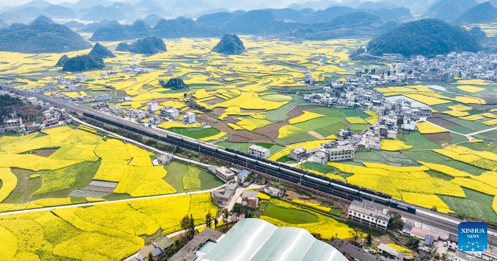 Spring scenery of Puding County, SW China's Guizhou