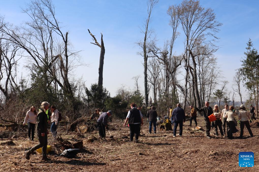 Feature: Slovenia plants 2,000 trees to counter climate threat on Int'l Forest Day