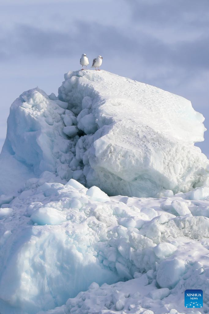 View of icebergs in Denmark