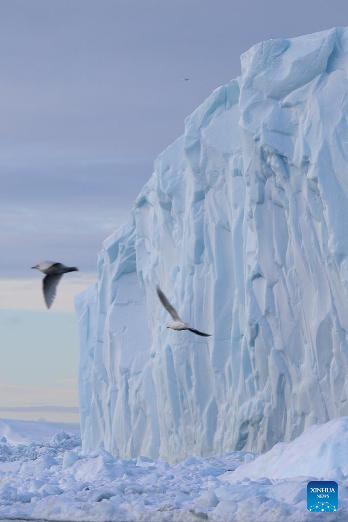 View of icebergs in Denmark