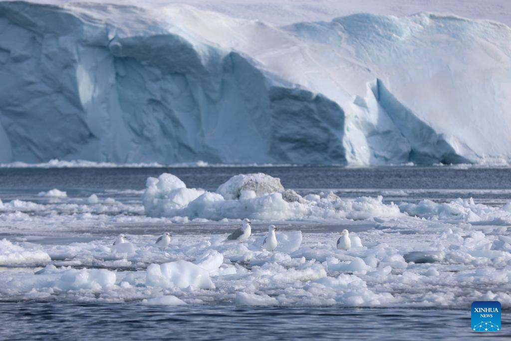 View of icebergs in Denmark