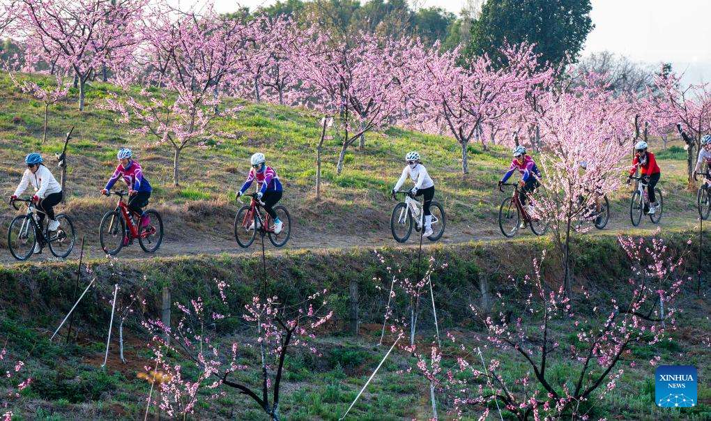 Spring scenery across China