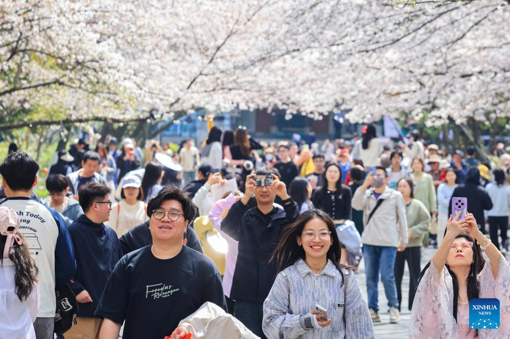 Spring scenery across China