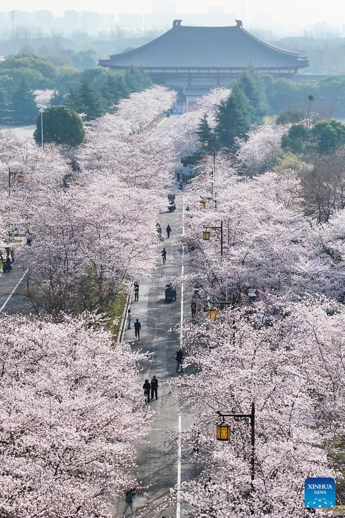 Spring scenery across China