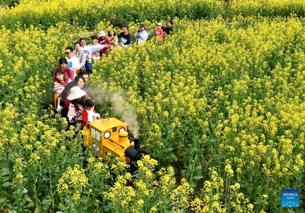 Spring scenery across China