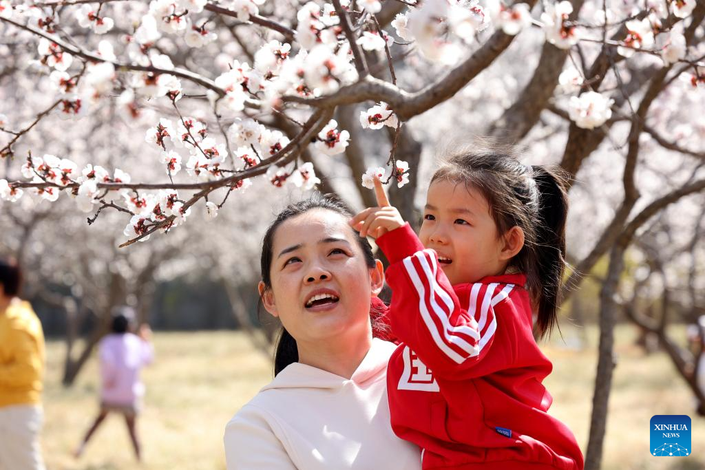 Spring scenery across China