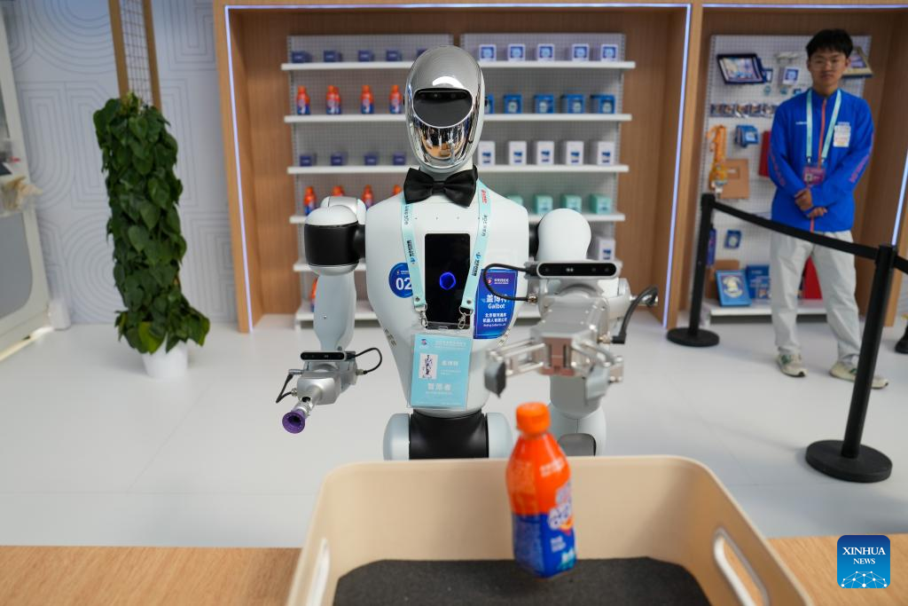 Humanoid robots shine at 2025 Zhongguancun Forum