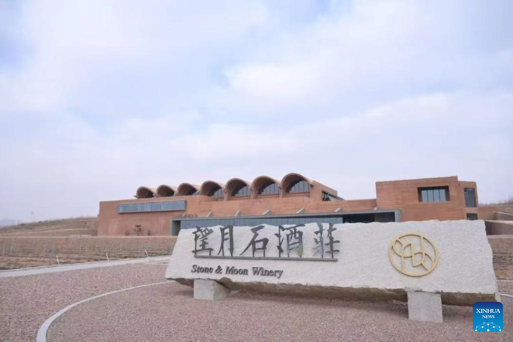 Economic Watch: Aroma of Chinese wine spreading overseas