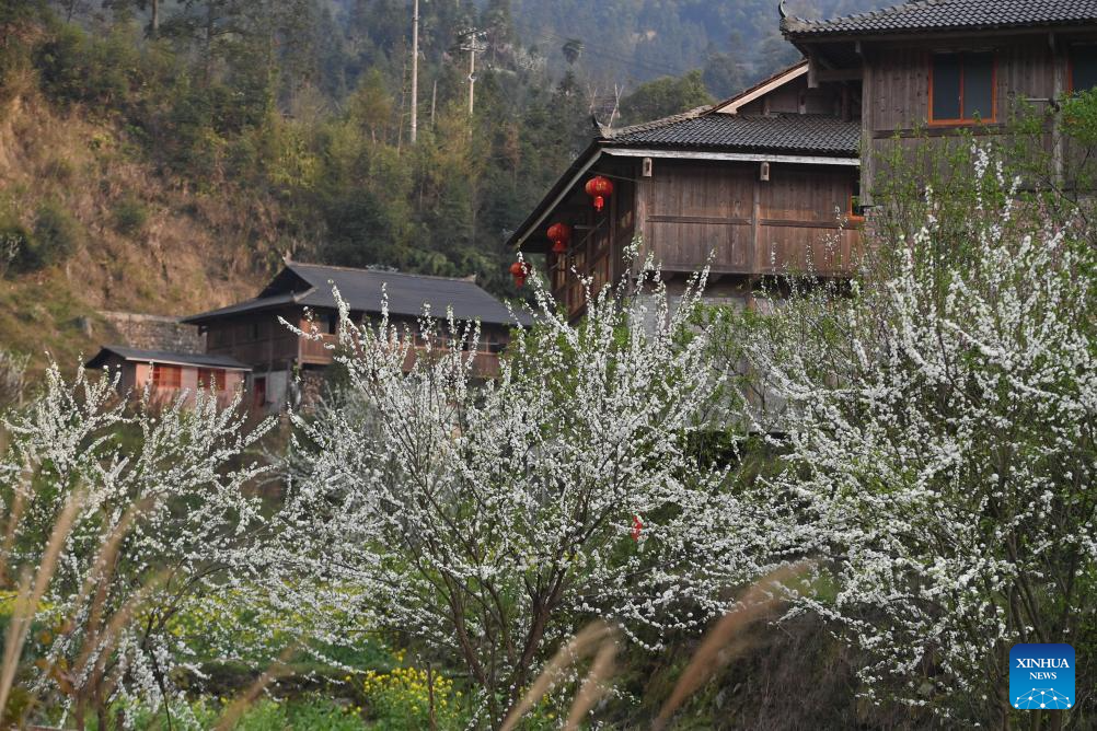 Wuying Village in south China's Guangxi promotes inheritance, development of ethnic culture
