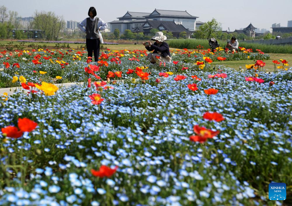 Flowers in full bloom across China