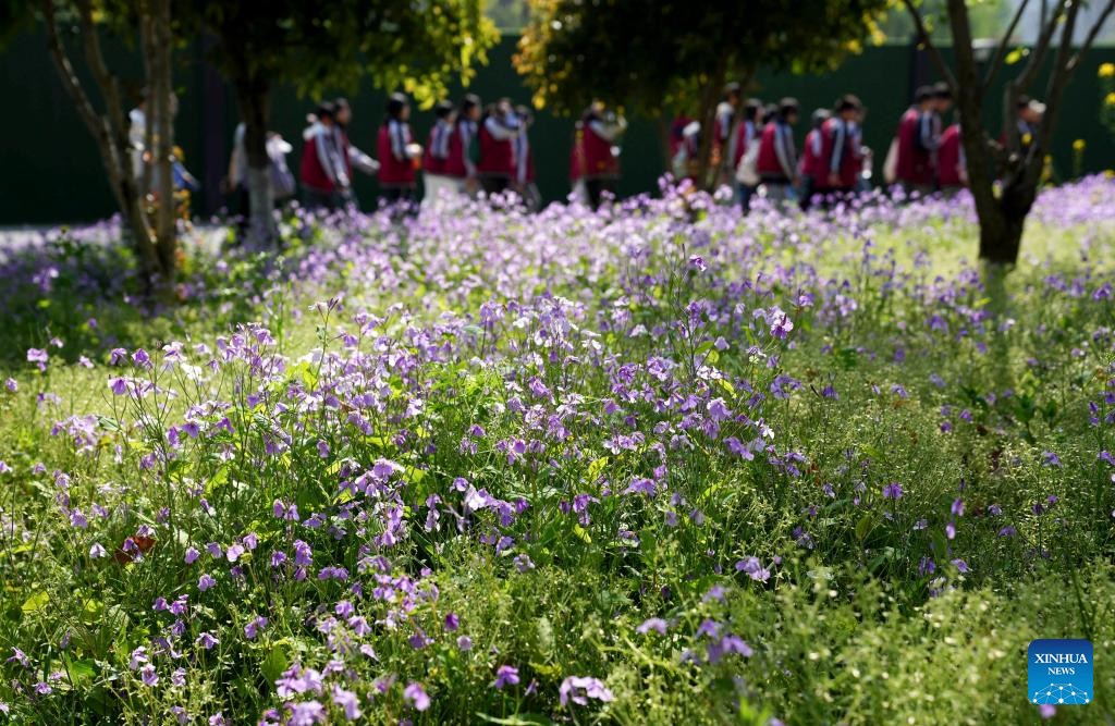 Flowers in full bloom across China
