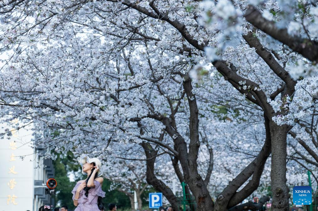 Flowers in full bloom across China