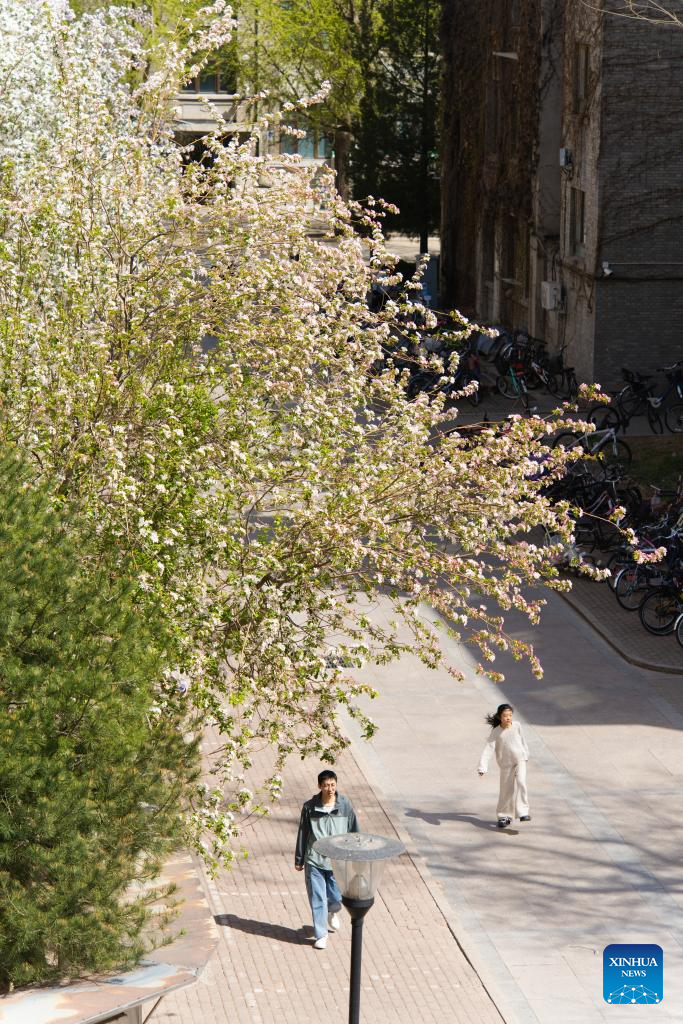 Flowers in full bloom across China
