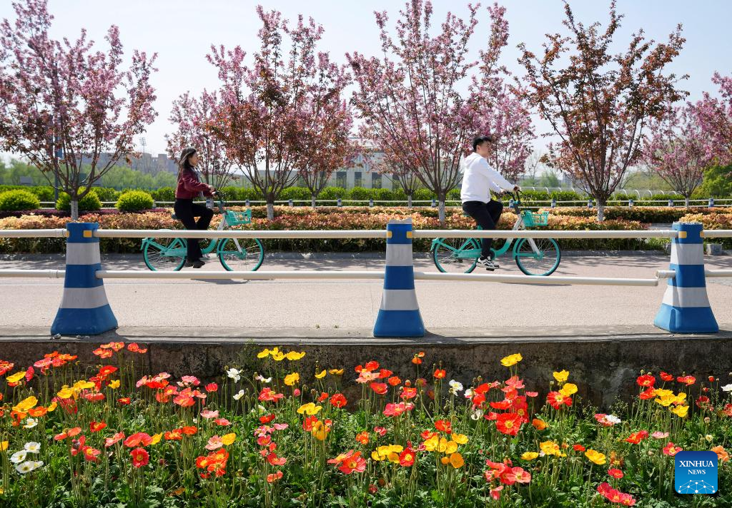 Flowers in full bloom across China