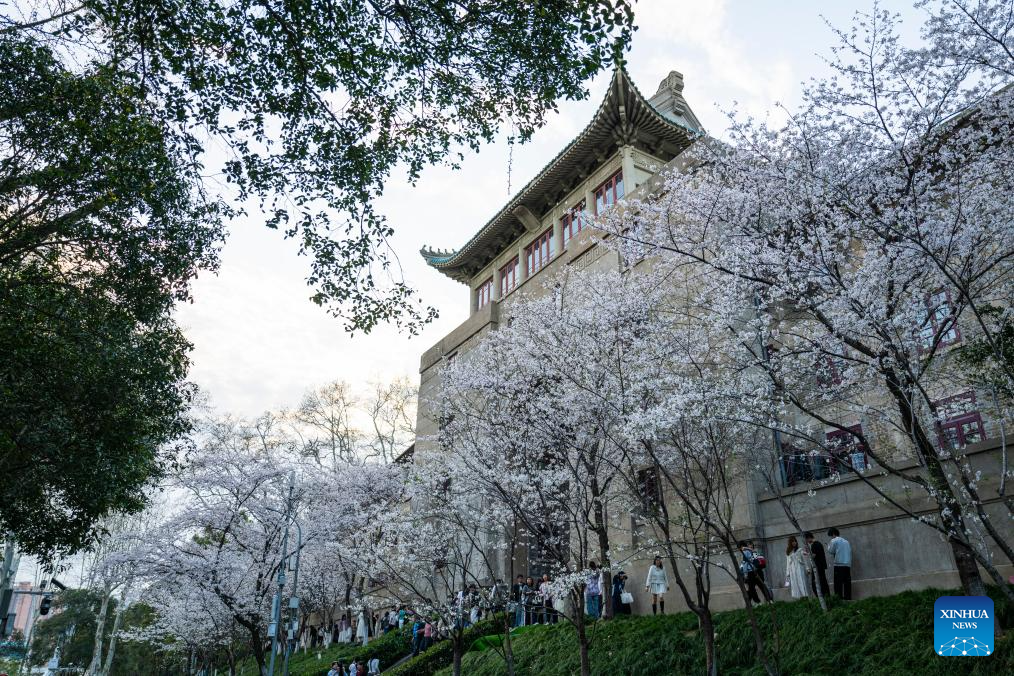 Flowers in full bloom across China