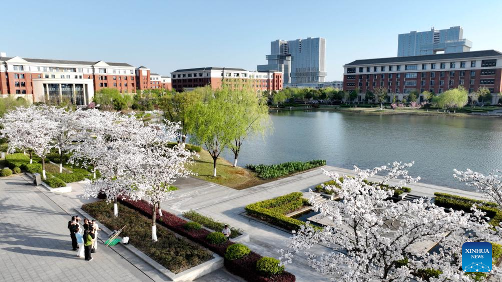 Flowers in full bloom across China