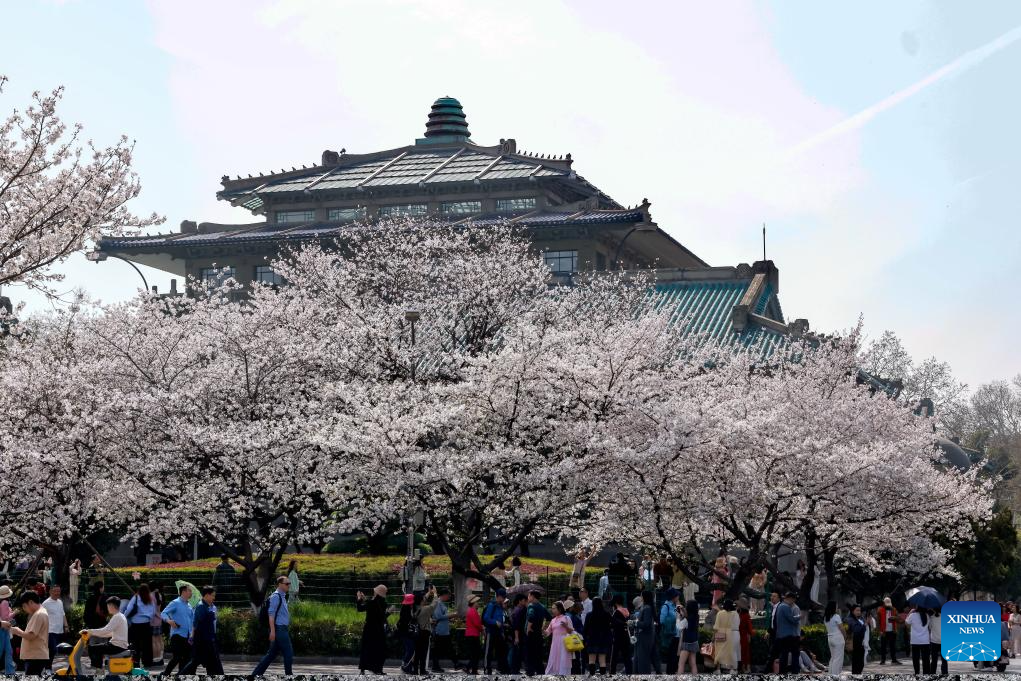 Flowers in full bloom across China