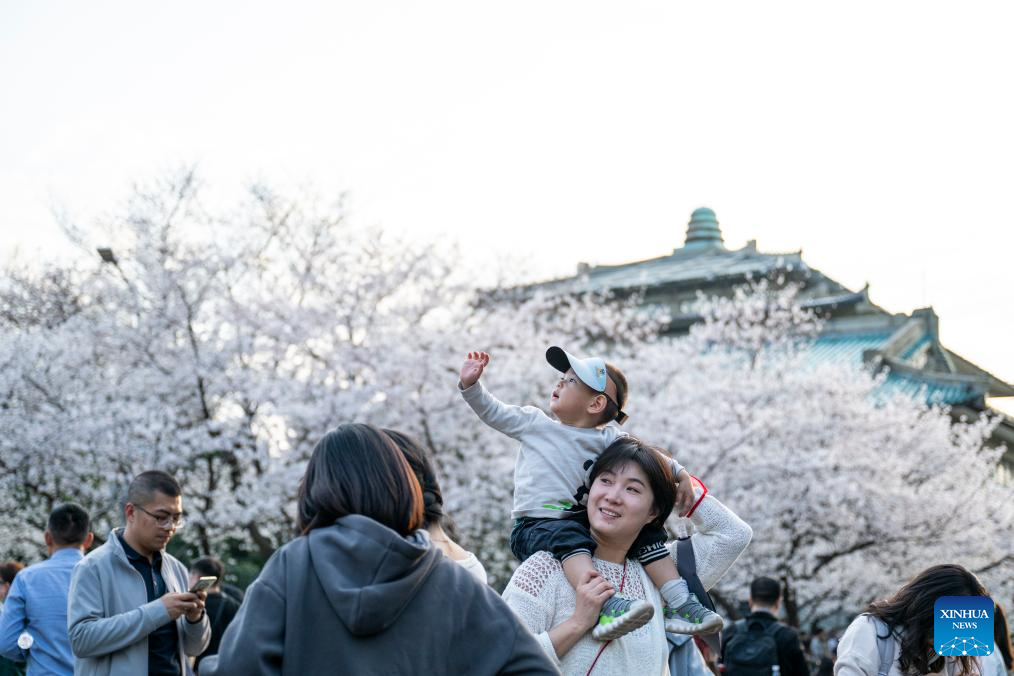 Flowers in full bloom across China