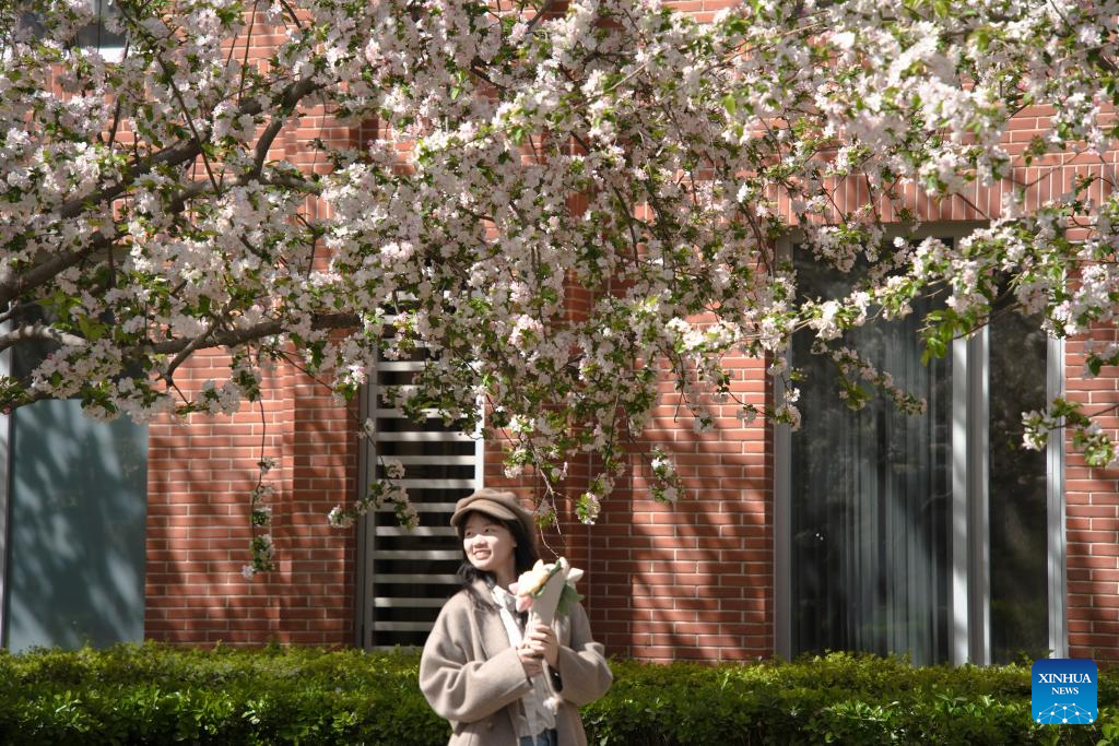 Flowers in full bloom across China