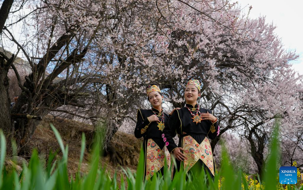 Tourism flourishes in Xizang's Nyingchi amid peach blossoms