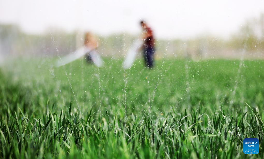 Spring farming in full swing across China
