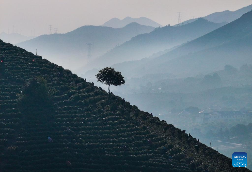 Spring farming in full swing across China