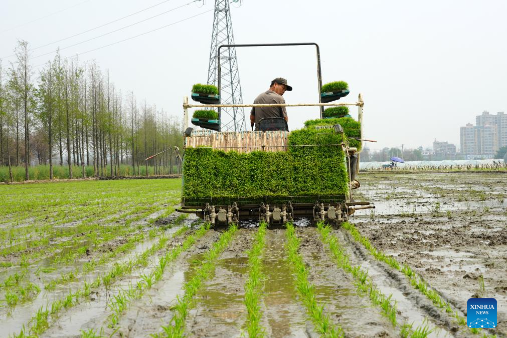 Spring farming in full swing across China