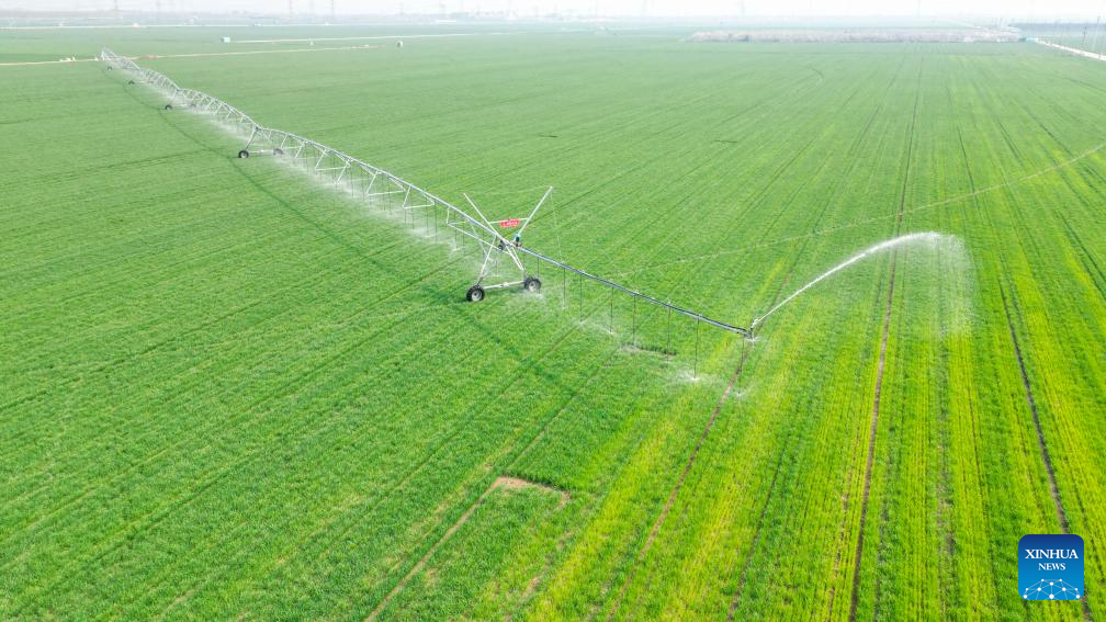 Spring farming in full swing across China