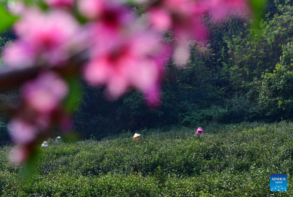 Spring farming in full swing across China