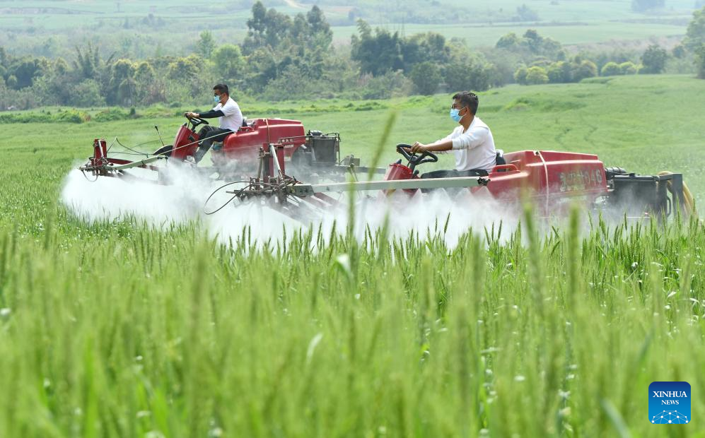 Spring farming in full swing across China