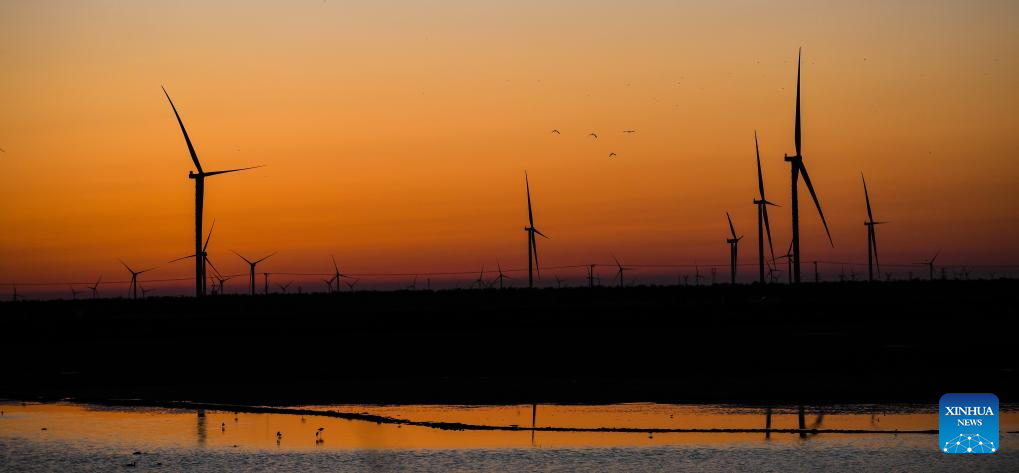 East China's Yancheng strives to build green, livable city
