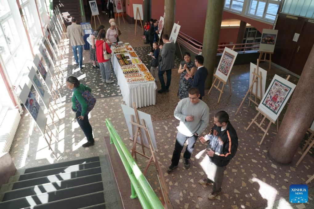Chinese folk art exhibition opens in Sarajevo