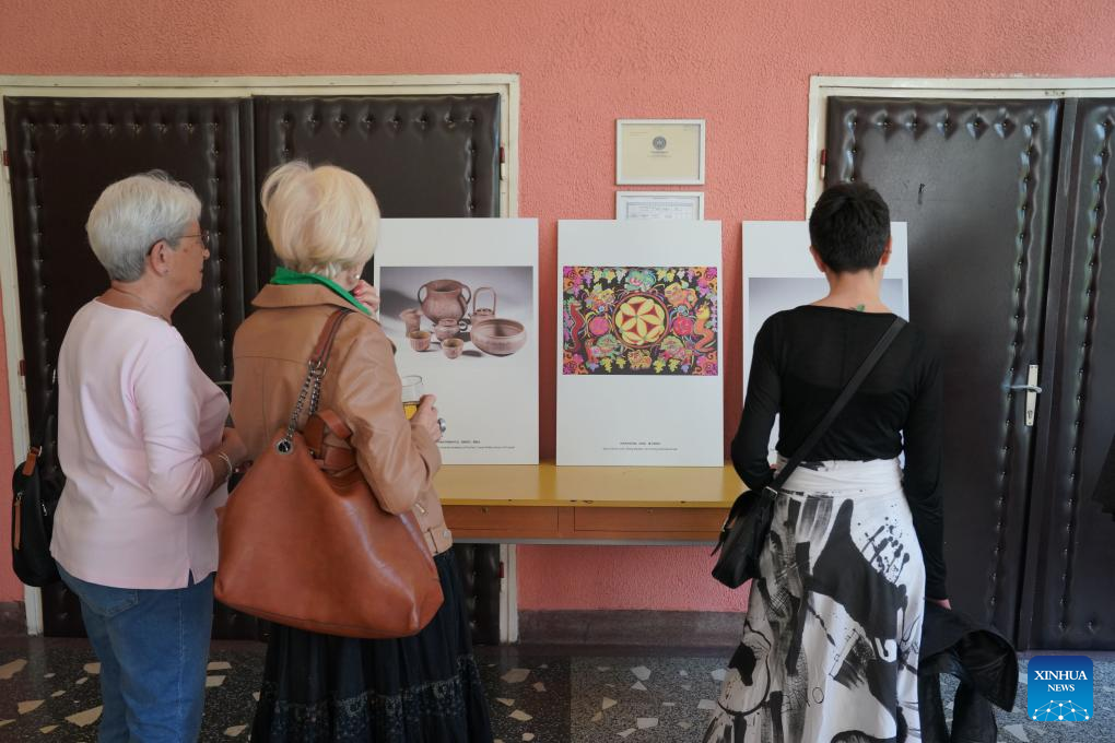 Chinese folk art exhibition opens in Sarajevo