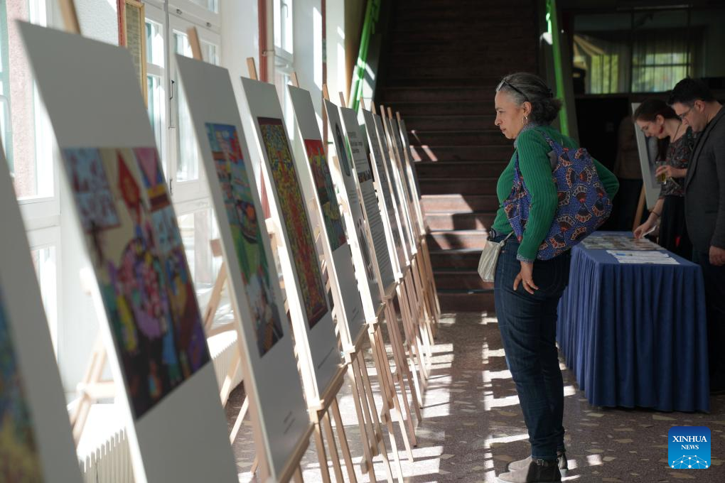 Chinese folk art exhibition opens in Sarajevo