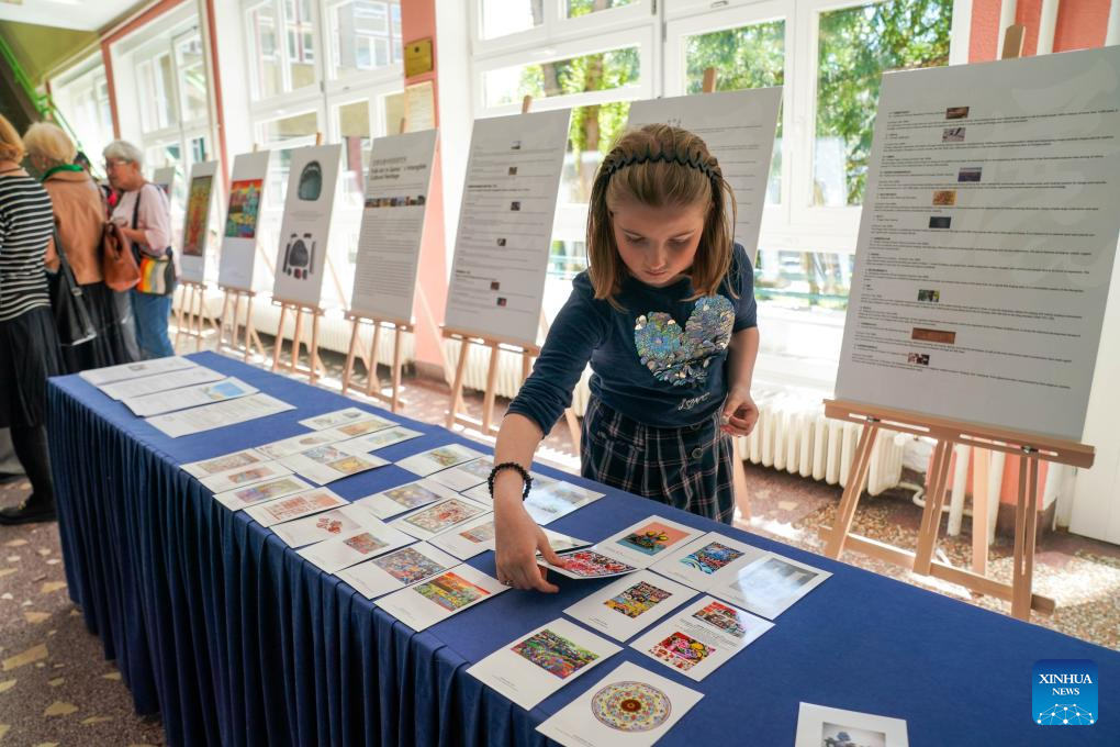 Chinese folk art exhibition opens in Sarajevo