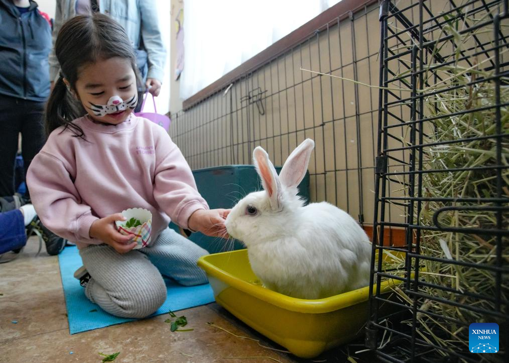 Easter Bunny Fest event held in Richmond, Canada